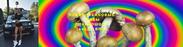 соль курить ск Богданович